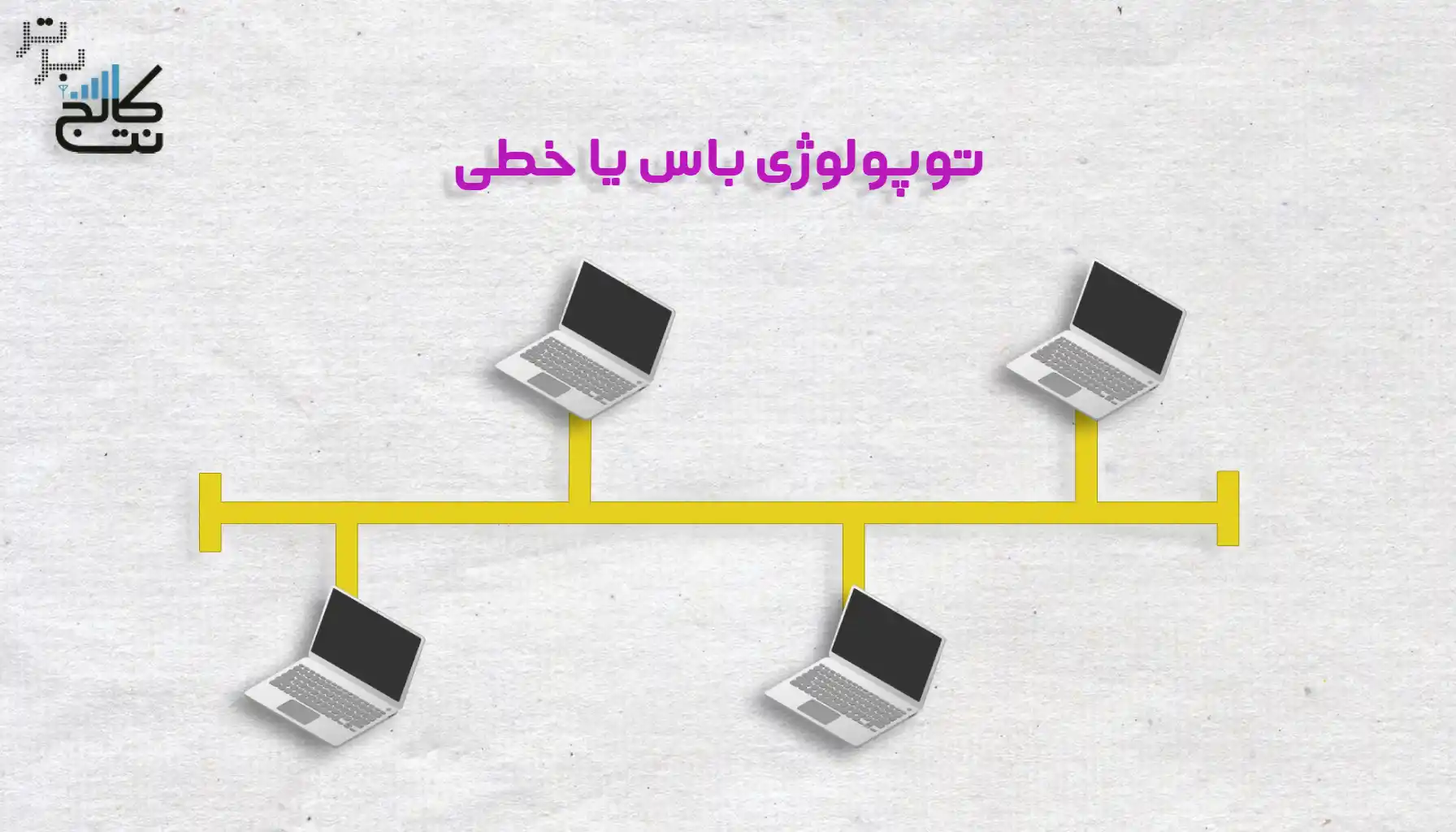 توپولوژی باس