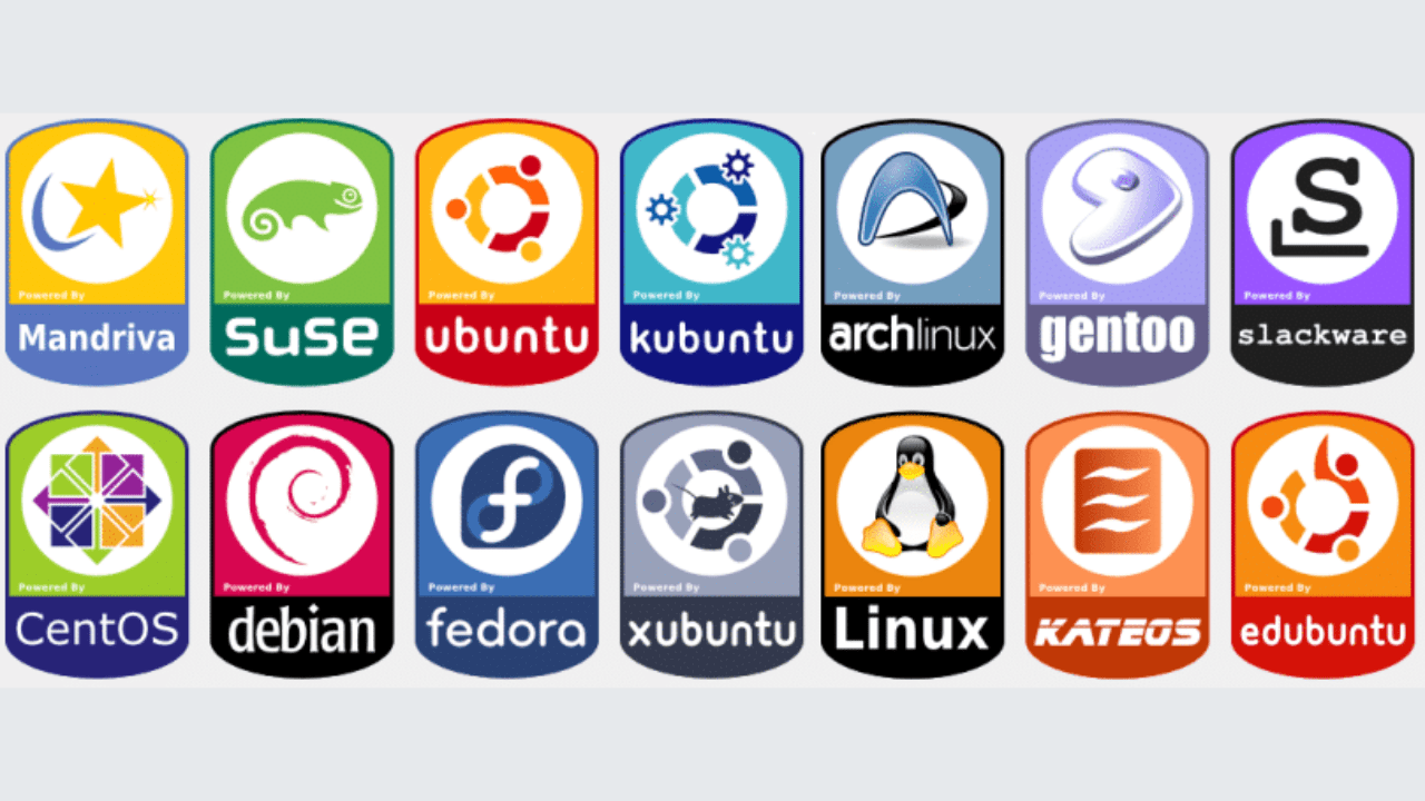 🚀 کدوم لینوکس به درد تو می‌خوره؟